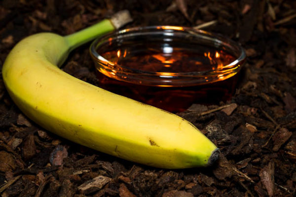 Banane