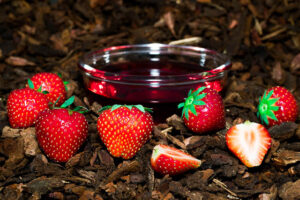 Wild Strawberry