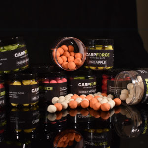 Hookbaits und Pop Ups