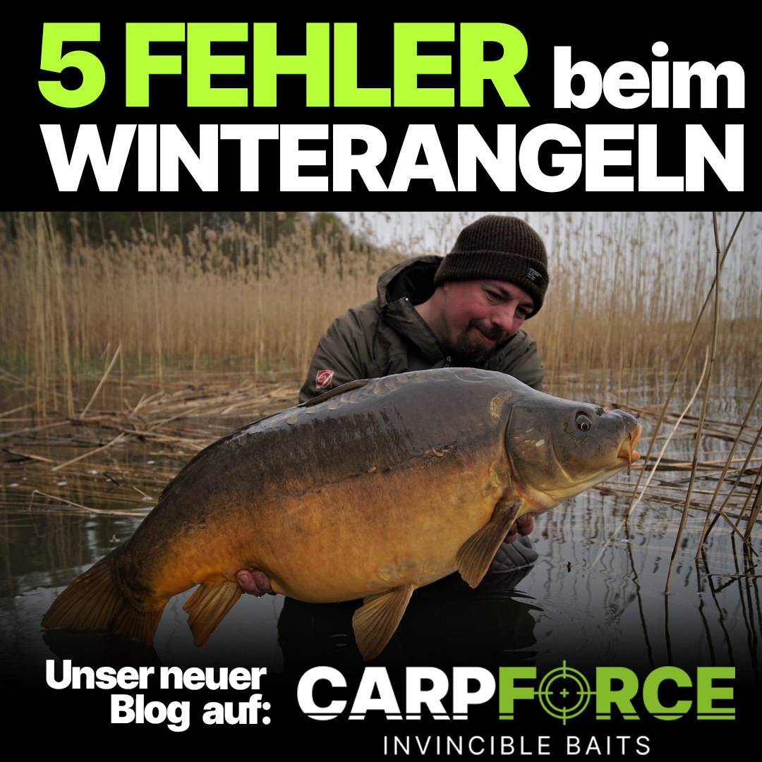 Karpfenangeln im Winter