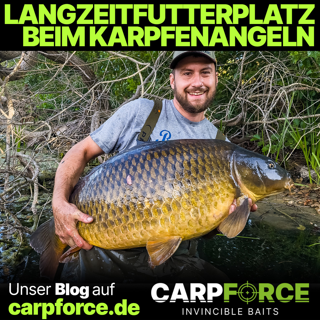 Langzeitfutterplatz beim Karpfenangeln