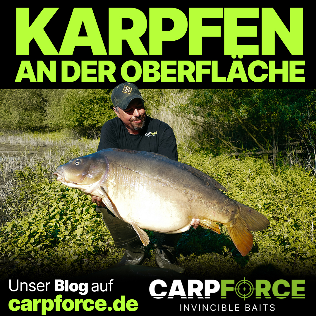 Oberflächenkarpfen gefangen auf Projekt Surface