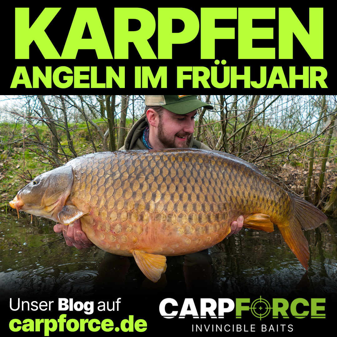 Karpfenangeln im Frühjahr. 3 Tipps für den Erfolg