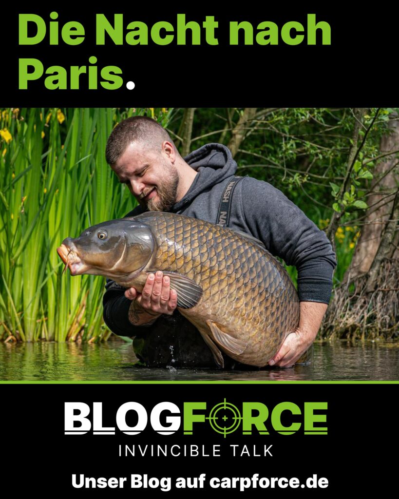Die Nacht nach Paris. Titelbild