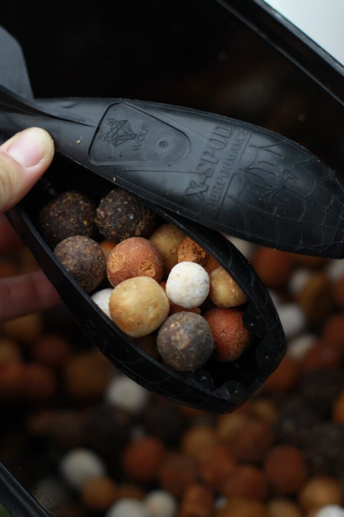 Futter Boilies